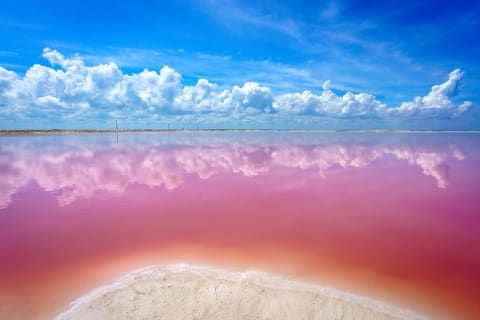 Rio Lagartos Biosphere + Coloradas Gorgeous Pink Lake! From Tulum — photo 6