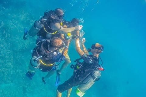 Apprenez à plonger à Cabo San Lucas avec PADI — photo 1