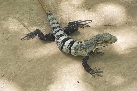 Private Yucatan Express Tour — photo 7