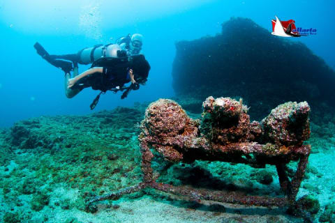 Plongée sous-marine privée à Puerto Vallarta — photo 5