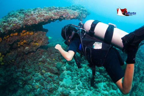 Plongée sous-marine privée à Puerto Vallarta — photo 7