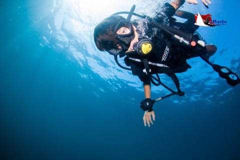 Plongée sous-marine privée à Puerto Vallarta — photo 8