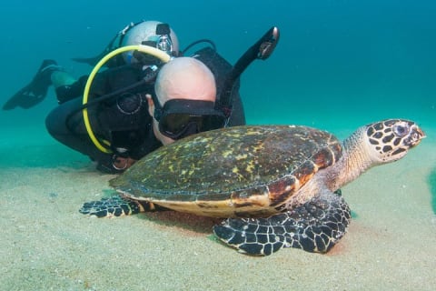 Plongée sous-marine privée à Puerto Vallarta — photo 12