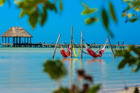 Tour Holbox - Magic Island! Round Transportation from Tulum — photo 7