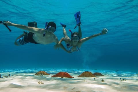 El Cielo Cozumel, a paradisiacal tour. Be amazed by the stars near to you. — photo 8