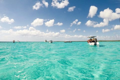 El Cielo Cozumel, a paradisiacal tour. Be amazed by the stars near to you. — photo 11