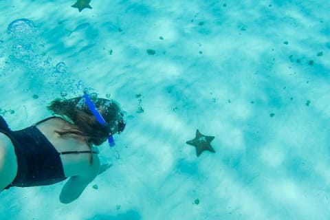 El Cielo Cozumel, a paradisiacal tour. Be amazed by the stars near to you. — photo 1