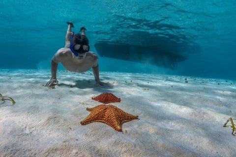 El Cielo Cozumel, a paradisiacal tour. Be amazed by the stars near to you. — photo 9