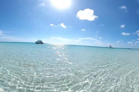 El Cielo Cozumel, a paradisiacal tour. Be amazed by the stars near to you. — photo 12