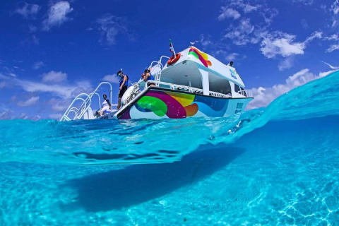 Snorkeling adventure through 'El Cielo' Cozumel. Included Food & Transportation — photo 6