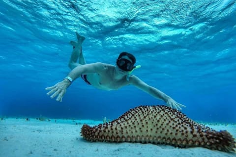 El Cielo Cozumel, a paradisiacal tour. Be amazed by the stars near to you. — photo 3