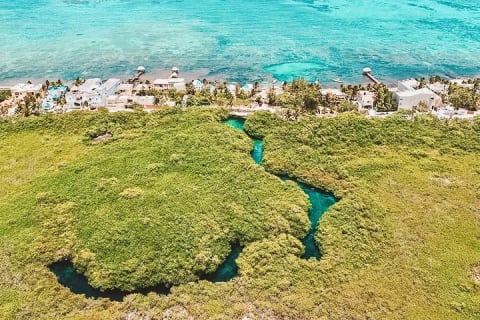 Cenote Paddleboarding and Snorkeling in Tulum — photo 2