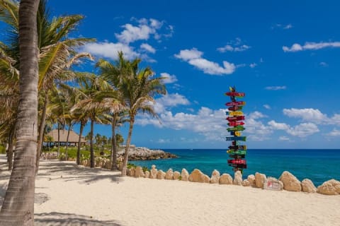 Visit the Mexican Caribbean and live the amazing experience with 3 ECO PARKS — photo 6