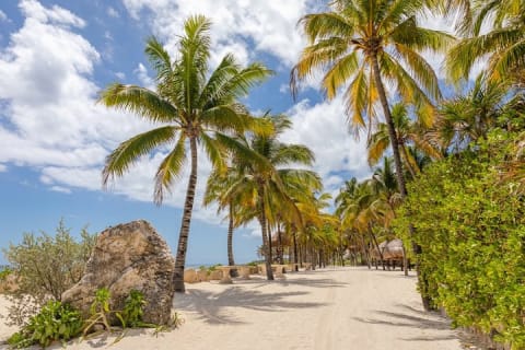 Visit the Mexican Caribbean and live the amazing experience with 3 ECO PARKS — photo 7