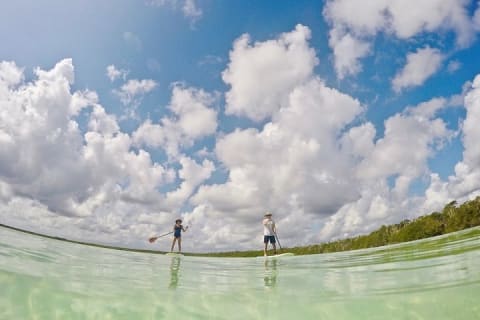 Lagoon Paddleboarding Tour in Tulum — photo 5