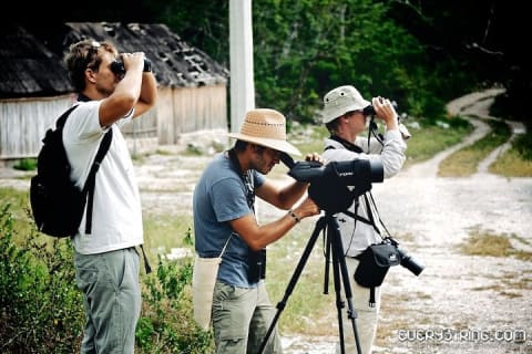 Bird Watching in Sian Ka´an Muyil — photo 2