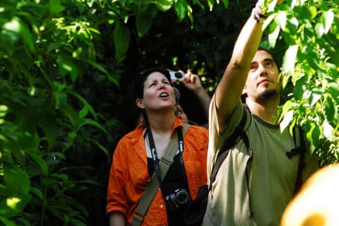 Bird Watching in Sian Ka´an Muyil — photo 9