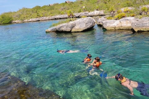Cenotes and Paradise Lagoon — photo 5