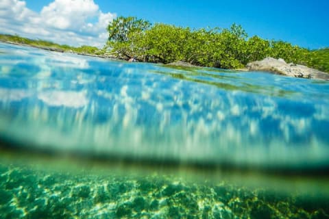 Adrenaline adventure on this Super Snorkeling Tour with ATVs and zip lines. — photo 12