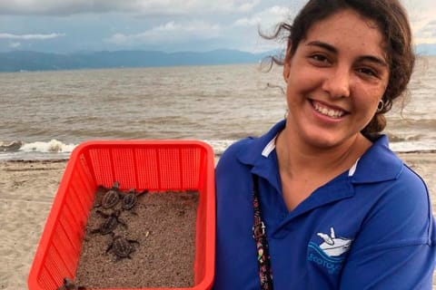Experiencia de liberación de tortugas marinas y conservación en Puerto Vallarta — photo 15