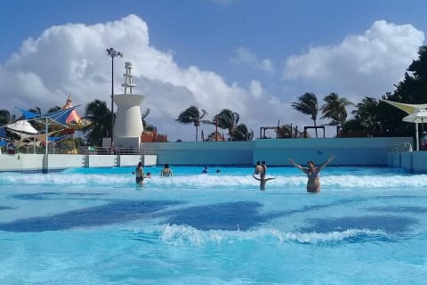ENJOY 2 Days of 2 Differents Parks in the Jungle and Caribbean with transport — photo 3