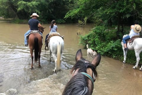 Expérience d'équitation dans les montagnes de la Sierra Madre — photo 1
