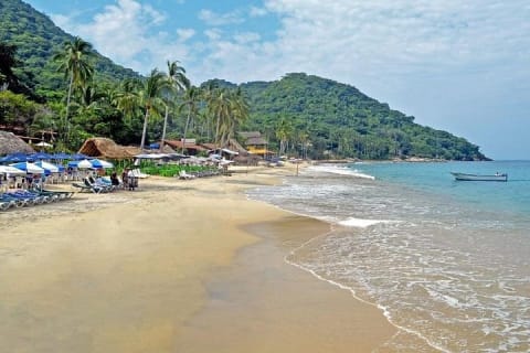 Expérience privée de snorkeling et excursion en bateau à la plage de Las Animas — photo 1