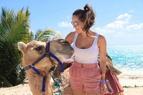 ENJOY UNIQUE CAMEL RIDE in Puerto Morelos with Transportation — photo 2