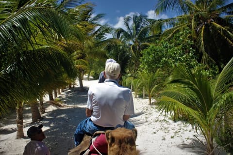 ENJOY UNIQUE CAMEL RIDE in Puerto Morelos with Transportation — photo 11