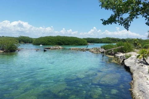 Amazing Cenote Yalku, swim in sacred waters. Transport & Guide — photo 4