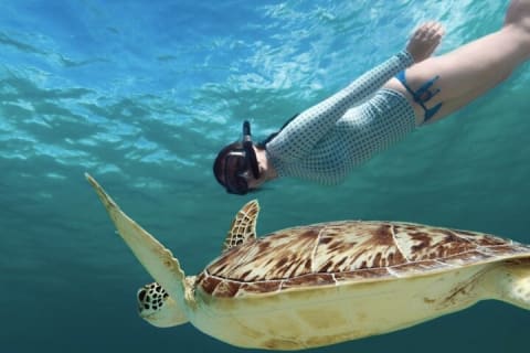 EXPERIENCE SWIMMING with the TURTLES and Discover the amazing Tulum Ruins tours. — photo 1