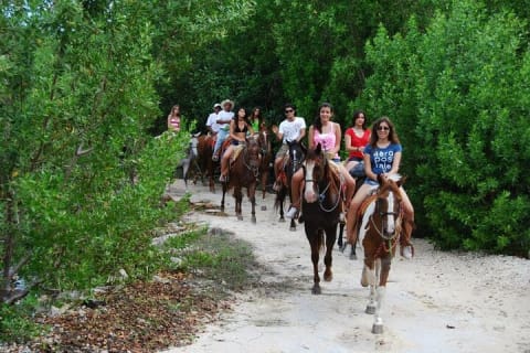 Stroll the Jungle Trails on our Horseback Riding, with transport — photo 2