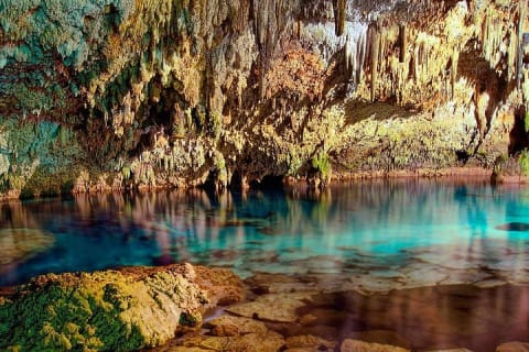 Swim in the beautiful Yalku & Cenote, includes transport & guide — photo 4