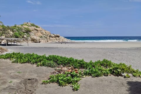 3 jours / 2 nuits à l'hôtel Xalli La Ventanilla, Suite avec Jacuzzi + tour de l'estuaire — photo 10