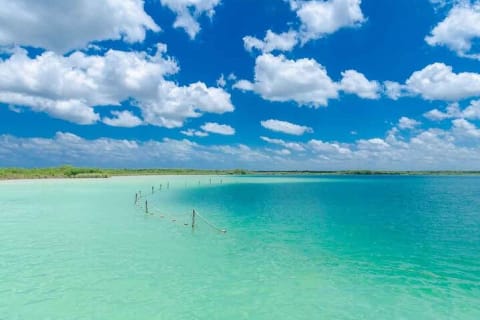 Awesome Adventure in Tulum. Kaan Luum Lagoon, 2 cenotes and lunch — photo 2