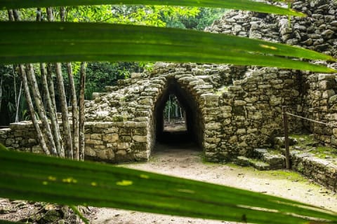 Birdwatching in Coba from Tulum - Shared Group Tour — photo 14