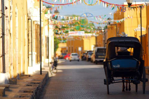 Private Tour: Chichen Itza, Cenote & Izamal Magic Town by Yucatan Concierge — photo 7