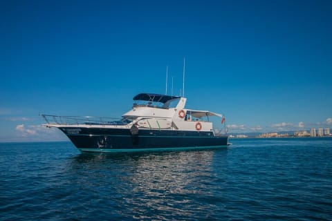 Charter privé de 4 heures - Yacht Bertram de 57 pieds — photo 1