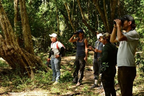 Birdwatching in Coba from Tulum - Shared Group Tour — photo 7