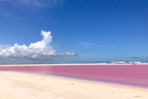 Magical Tour Las Coloradas Natural Pink Lagoon from Riviera Maya — photo 10