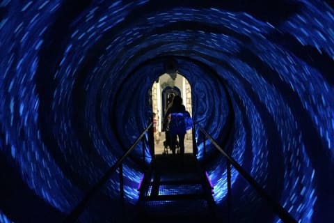 Enjoy 3 Differents parks in 2 Days! Adventure, Fun and Mayan Culture — photo 7
