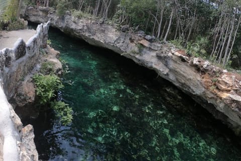 Cenote Express — photo 12