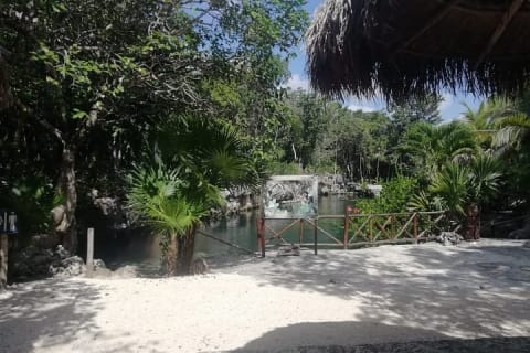 Cenote Express — photo 13