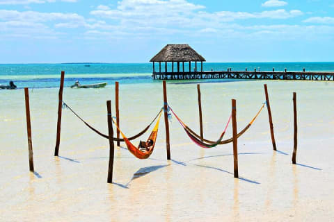 Full-Day Tour of Holbox Island with Lunch — photo 2