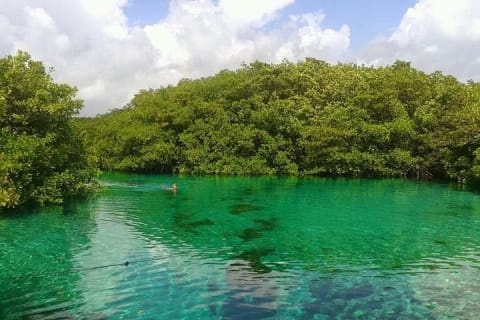Discovery Scuba Diving — photo 4