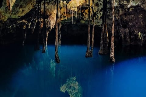 Tour guiado de 4 cenotes en 1 con desayuno, comida y vino — photo 11