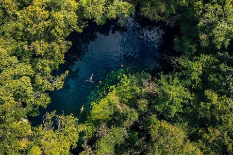 Tour guiado de 4 cenotes en 1 con desayuno, comida y vino — photo 5
