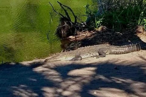 Tour 4 en 1 - Mazunte, fábrica de cacao, La Ventanilla y desove de tortugas — photo 7