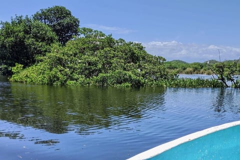 Tour 4 en 1 - Mazunte, fábrica de cacao, La Ventanilla y desove de tortugas — photo 14