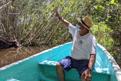 Tour 4 en 1 - Mazunte, fábrica de cacao, La Ventanilla y desove de tortugas — photo 4